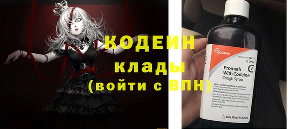 крисы Осинники