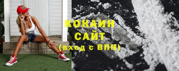 крисы Осинники