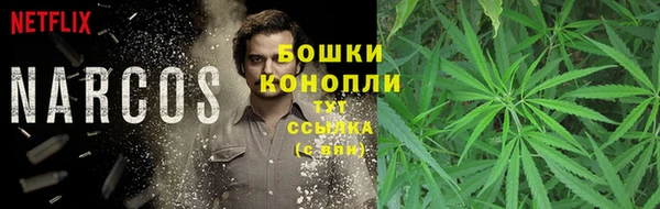 крисы Осинники