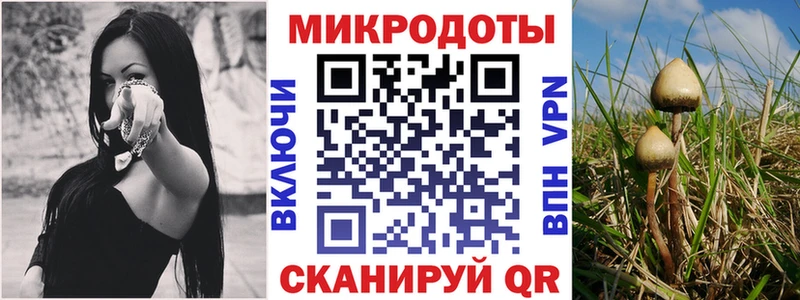 магазин продажи   Орлов  Галлюциногенные грибы мухоморы 